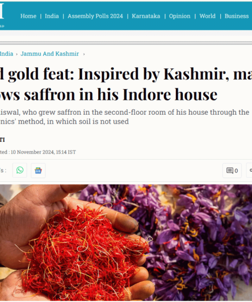 Saffron news